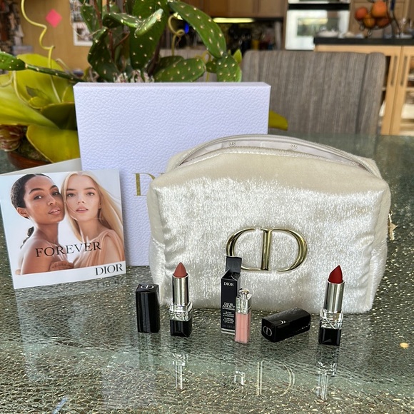 Dior Other - Dior Cosmetic Case &  Lipstick Collection # 505  & 846